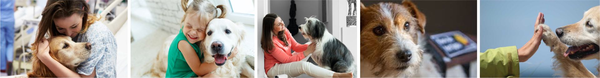 Terapia asistida con perros